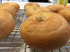 Perfectly Plain Bagels