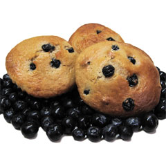 Blueberry Muffin